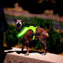 Dual Optical Fibers Led Harness for Dogs Good Quality Night Safety Reversible Harness Dog with Light