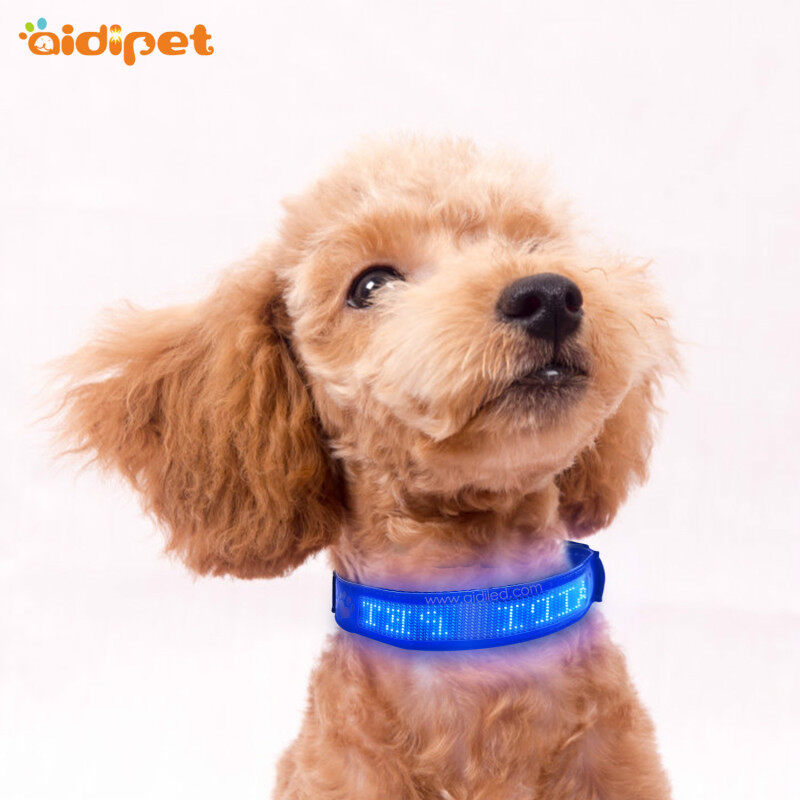 APP Control Led Led GLOWING Dog Collar PU Leather USB Rechargeable Display Dog Collar