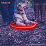 Non Tactical Dog Leash Manufacturer Light up Flashing Nylon Led Dog Leashes Lead for Night Safety