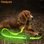 Golden Supplier Led Luminous Dog Leash Light-up Pet Leash Lead with Reflective Stitching