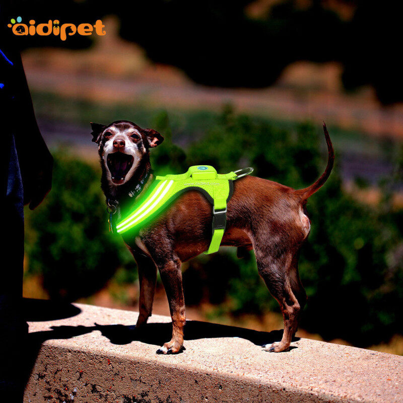 Led Dog Rechargeable Waterproof Reflective Custom Outdoor Flashing Led Pet Collar Dog Sporting LED Light Tag Safety Products