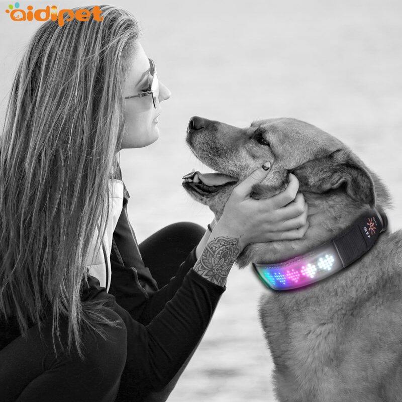 Luminous Dog Collars with APP Programmed Display Pet Collars USB Recharging Led Dog Collar Anti-lost