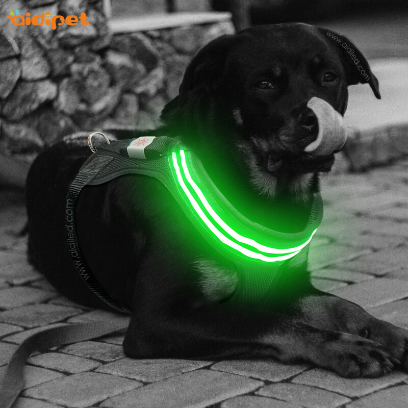 Soft Padded Light up Dog Harness Led Luminous Night Safety Walking Dog Pet Harness Collar Leash