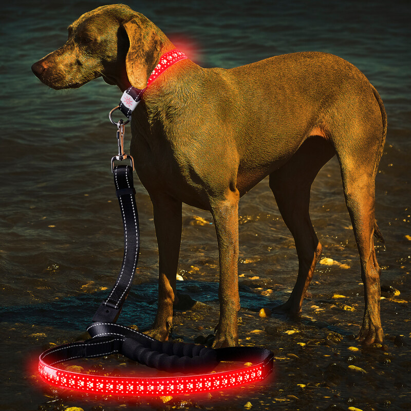 Hollow Printing Led Light Dog Leash Flashing PU Dog Leash Leather Luminous glow up dog Led Leash