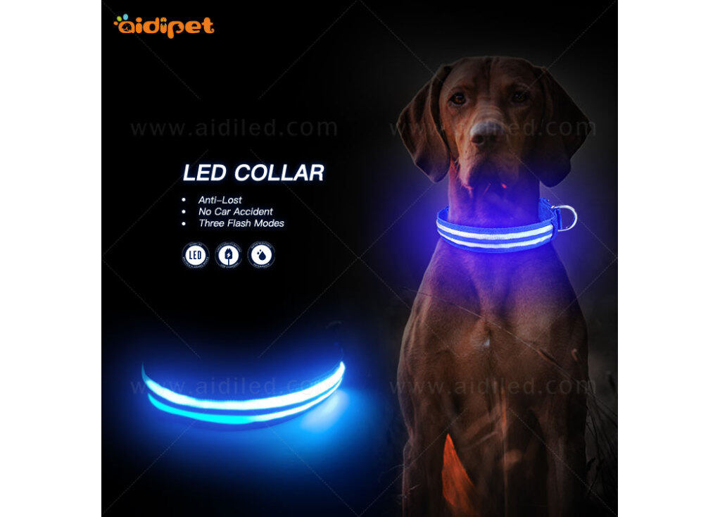 Benefits of Using a Rechargeable LED Light for Your Pet Collar and Glow Sticks