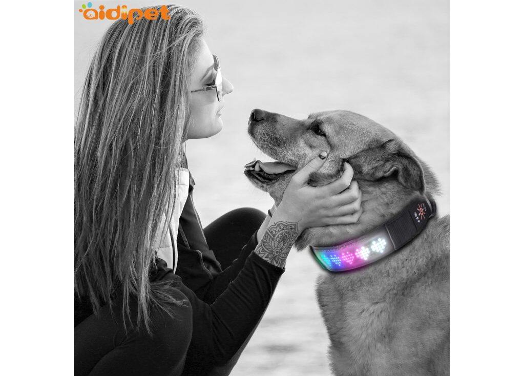 The LED Polyester Webbing Dog Collar