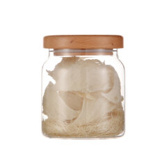 Borosilicate Large Country Style Kitchen Glass Container Storage Jars
