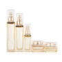 wholesale the golden glass bottles and cream jar clear high quality plastic cover with stripe