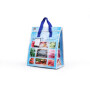 Food Custom Insulated Lunch Bag Fashion Rolling Cooler Bag PP Woven + EPE+ Aluminium