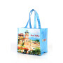 Custom Eco-Friendly Reusable Pp Non Woven Grocery Shopping Bag With Logo