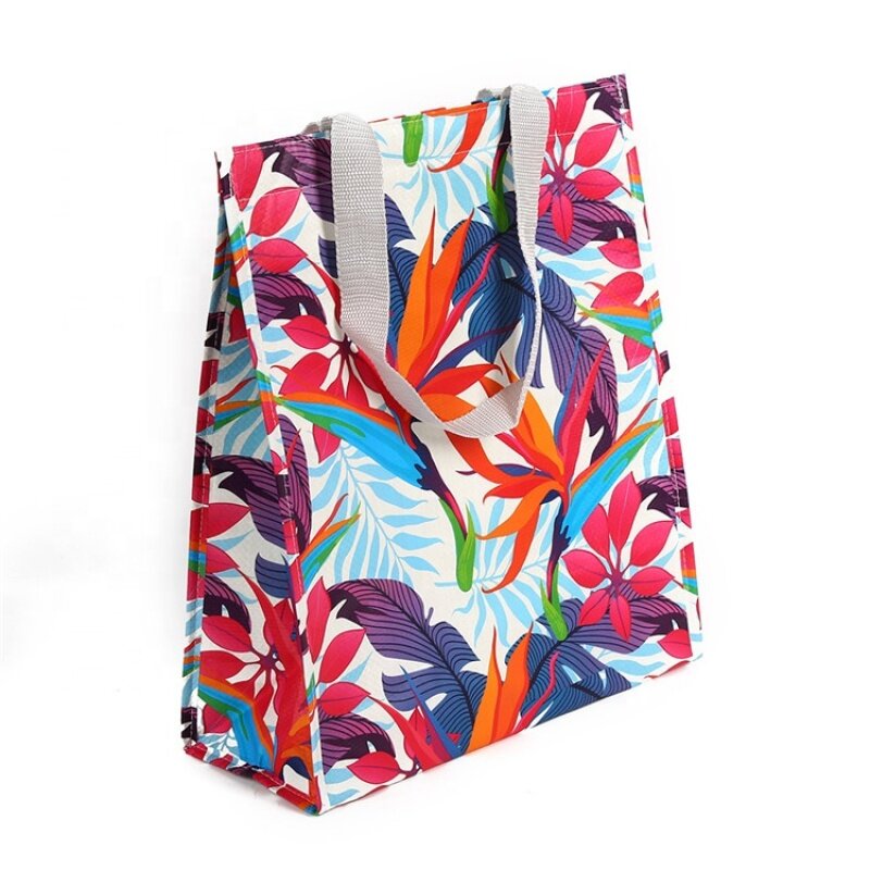 Colorful recyclable cheap wholesale  pp woven cooler bag for frozen food