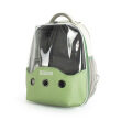 Vitality Green - Eggshell Cat Bag