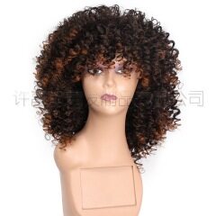 Short curly hair Fashion Curly Human Hair Wig Natura