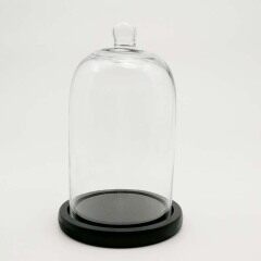 Glass Domes-FH23025ZB1