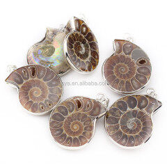 JF6382 Ammonite Fossiled pendant,Silver Ammonite Fossiled Pendant