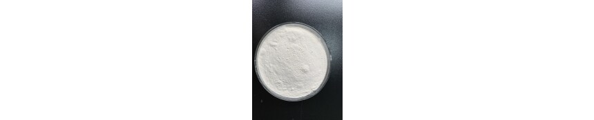 Alginate,Oligosaccharide,Take root,Promote rooting,COS