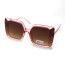 sunglasses-AEP501TF