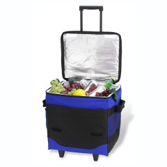 Collapsible insulated rolling cooler （60 can ）