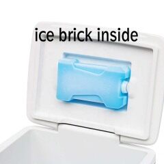 Customize Camping 13L Plastic Outdoor Cooler Wholesale Ice Chest Small Fishing Picnic Ice Freezer Box