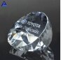Handmade 3D Laser Etched Illuminate Slant Glass Crystal Paperweight