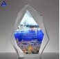 Professional Custom-Made Various Types Of Beautiful Legacy K9 Crystal Trophy With Full Color Imprint Trophy