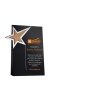 2021 New Black Crystal Award Black Crystal Beveled Five Pointed Star Medal Crystal Sandblasted Trophy